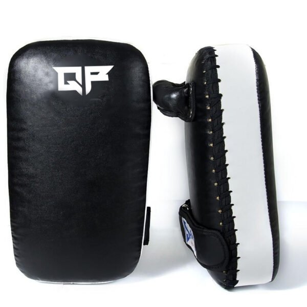 Paou Thai Boxing Mitt