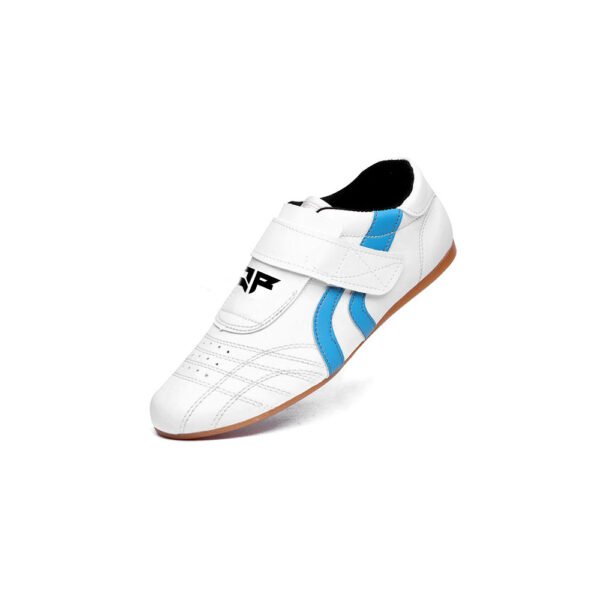 taekwondo shoes